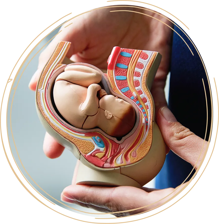 /images/strong-baby.webp